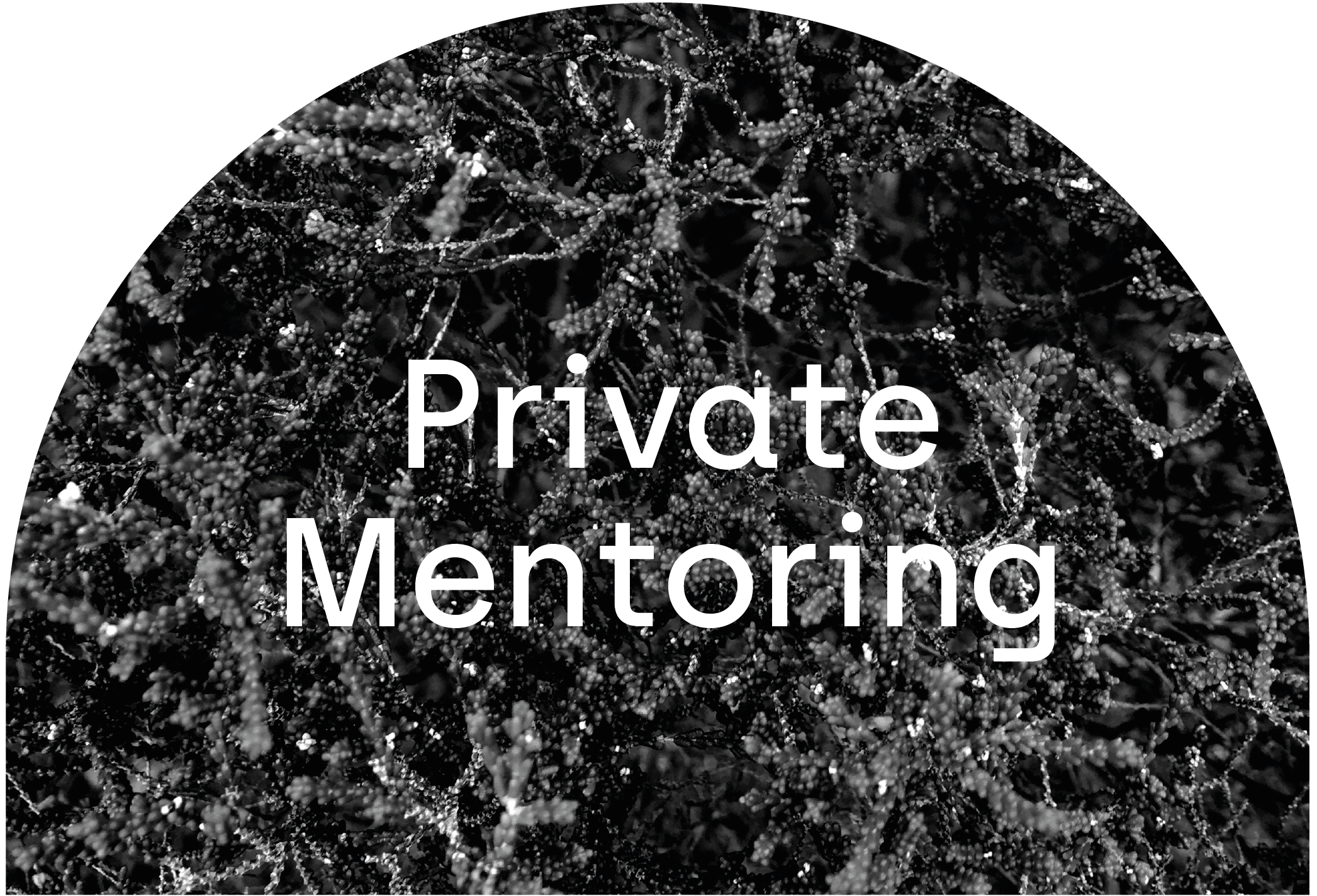 Private Mentoring